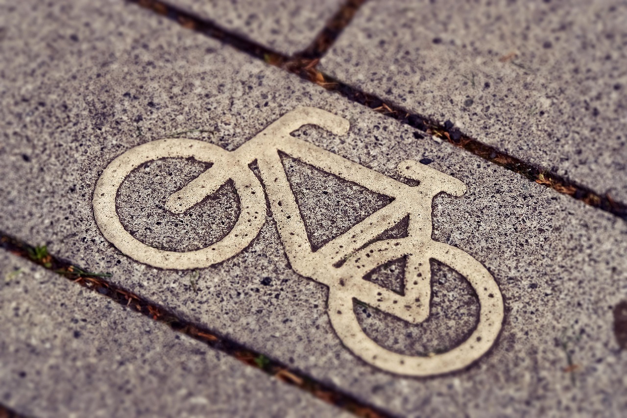 cand se planteaza bujorii